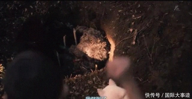 离家出走|被父母家暴后,13岁男孩离家出走到深山,一呆就是43年