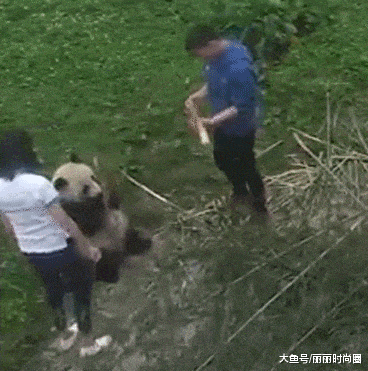 汉堡|搞笑GIF:精致女孩是这样吃汉堡的?