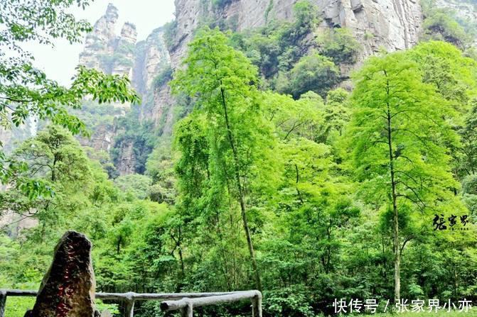 千里|乐八途自由行带你走进大湘西——分享湘西十大绝景(千里相会)