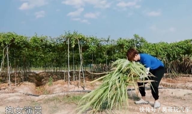 听清|任嘉伦新增“国超语录”,听清他嘴里说的话,体现对职业的尊重