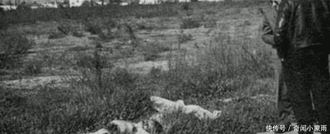 惨案|黑色大丽花惨案，最恐怖分尸案66年后找到凶手