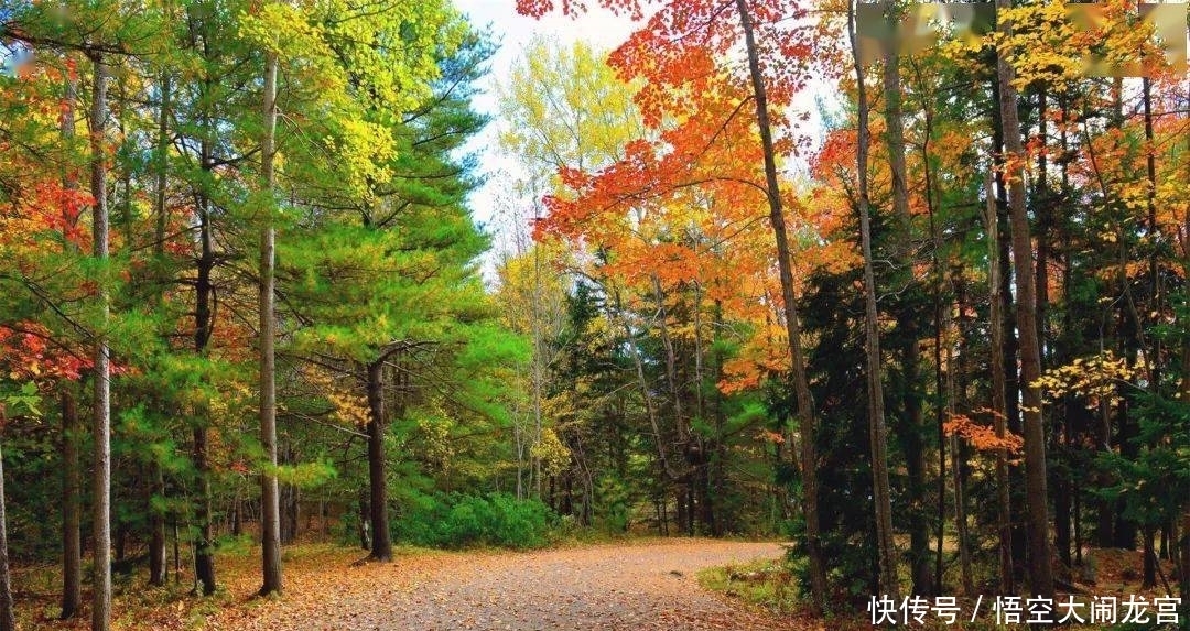 心生|曾国藩：相由心生，你的脸就是你的命