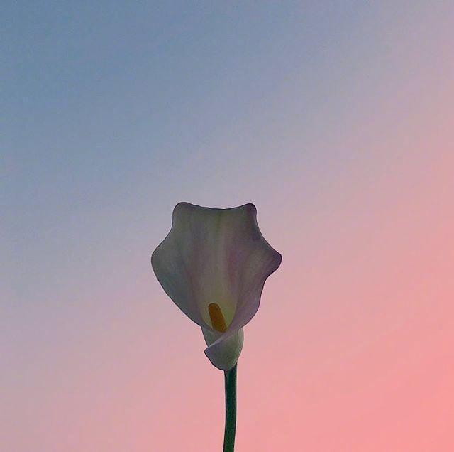 看完|乐观积极向上的唯美句子,看完让人醍醐灌顶!