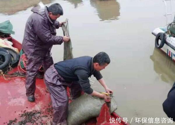 务川自治县|非法捕捞长江鱼三斤，被判7个月