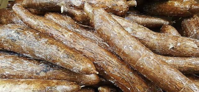 危险|十种最危险的日常食物,美味虽好也要多加小心