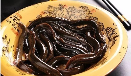 比肉|最好吃的鱼,营养是甲鱼8倍,16块钱一斤,比肉便宜无人买