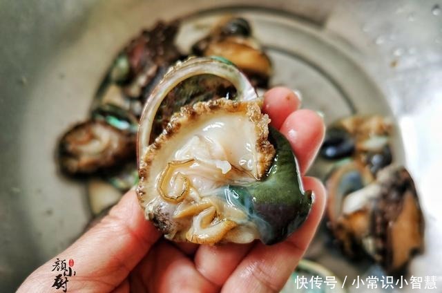 鲍鱼|5月宁不吃肉，也要吃这“鱼”，简单一蒸，比吃肉还营养