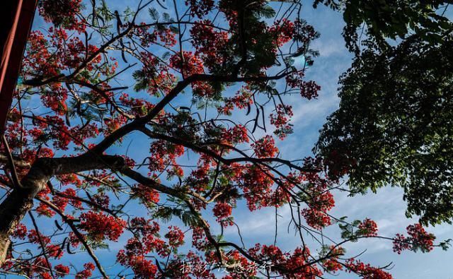 爱上读书馆|三亚,一个去了就不想走的城市4天3晚,带你玩转三亚精华