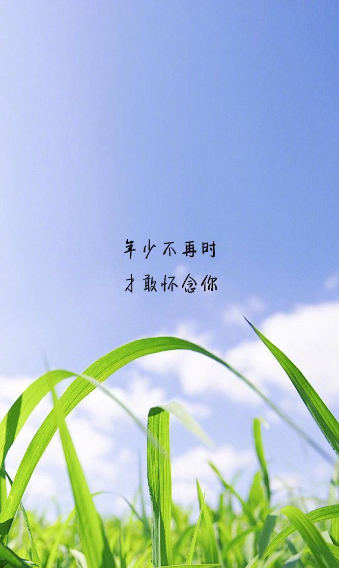 温柔|村上春树式温柔:你都喜欢哪句?留下你的答案吧