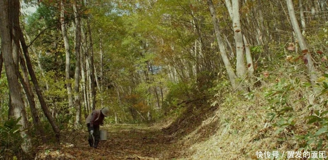 好吃|日本人的秋天限定美食,怎样最好吃?
