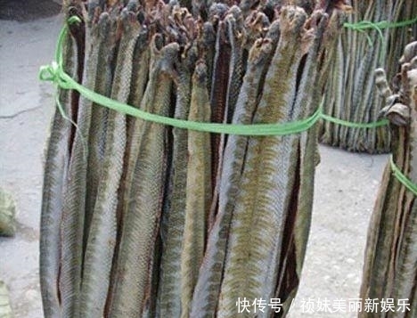 老公|海鲜只知道吃螃蟹?瞅瞅沿海人都在吃啥!绝!老公一口气囤3箱