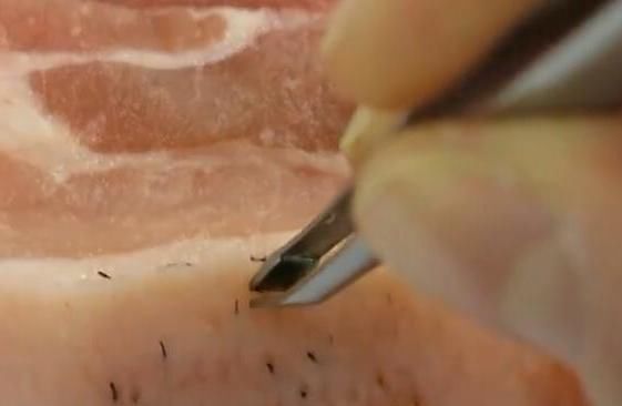  简单|原来猪皮“去毛”如此简单，不用手剃，去得干干净净很轻松，试试