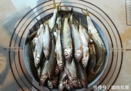 大厨|炸酥鱼裹蛋液?难怪不好看,大厨教我1招,鱼香酥嫩好吃,特抢手