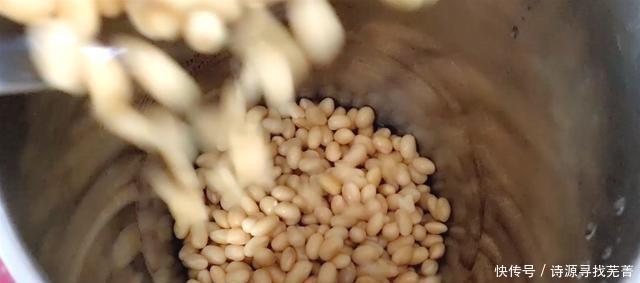 黄豆|想吃豆腐不要买，1碗黄豆1碗水，教你在家做，操作方便，好吃