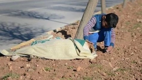 图片|8张人性与爱的图片，看到第一张就受不了，图8陪伴是最长情的告白