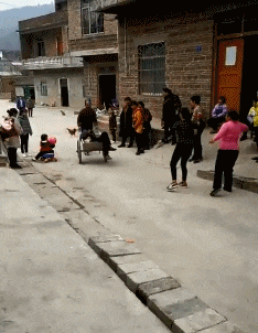 趣图|搞笑GIF趣图:有些事,该发生的时候,怎样拦都拦不住