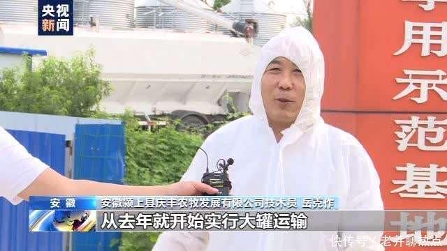 上半年|全国“菜篮子”产品供应总量充足 上半年生猪生产好于预期