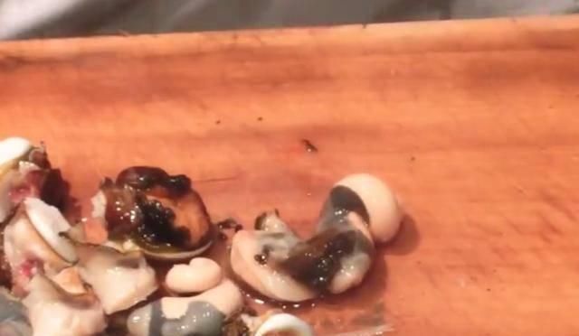 独特|日本人现场处理“海螺”,做法很独特,味道美味还很香