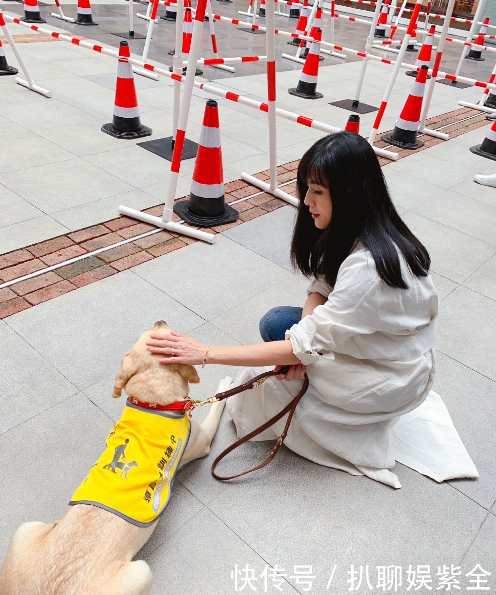  迟暮|美人不迟暮！杨采妮的图集