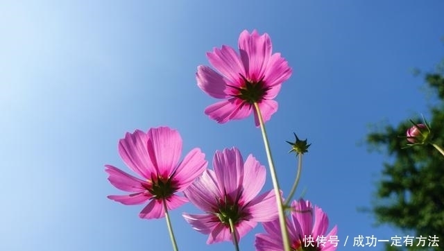 不尊重别|做人,别把别人不当人,别把自己太当人