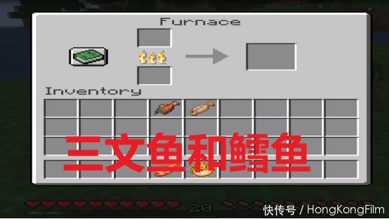 世界|我的世界:那些关于鱼的有趣小知识,河豚最开始没有刺?