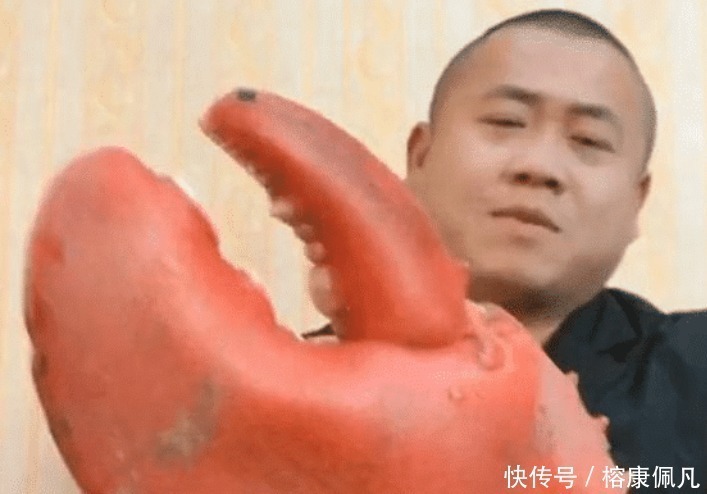 打开|男子花500元买蟹钳吃,笑嘻嘻打开,然后感觉心都在滴血