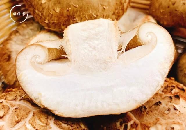 老板|买香菇时,碰到这4种香菇我扭头就走,老板说这人是真正的行家