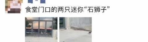  还好|“为什么女孩子的肚脐都是一条缝？”哈哈哈哈还好吧