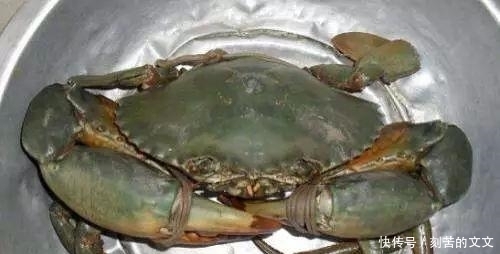  认出|海鲜大全, 你能认出多少