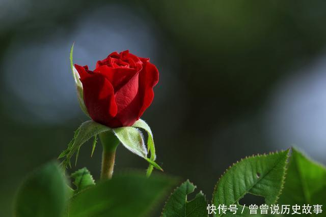 喜不喜欢|分辨对方喜不喜欢你,懂得这点很重要