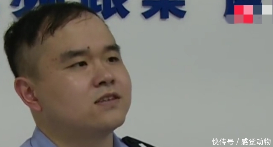 兼职|大学生做兼职，刷单刷了31000元，网友：老把戏了还上当！