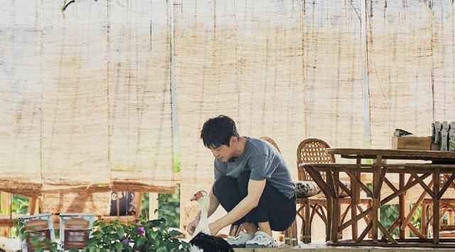 节目|为什么岳云鹏访问《向往》和休闲节目那么多