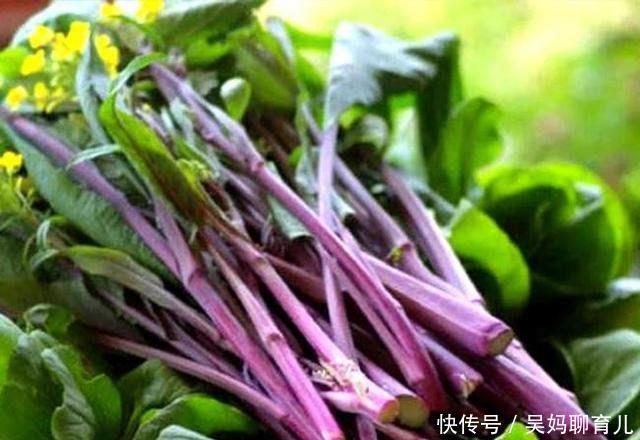 衰老|很有营养的3种食物,美容养颜、延缓衰老,好吃又不贵!