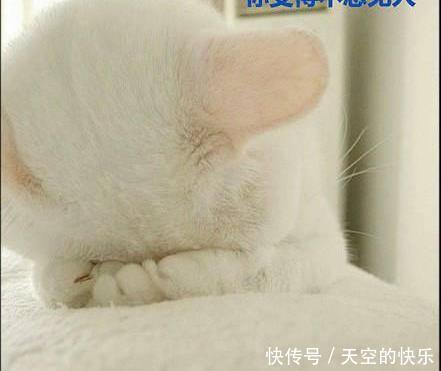 奔驰|东海龙王三太子又换了辆奔驰