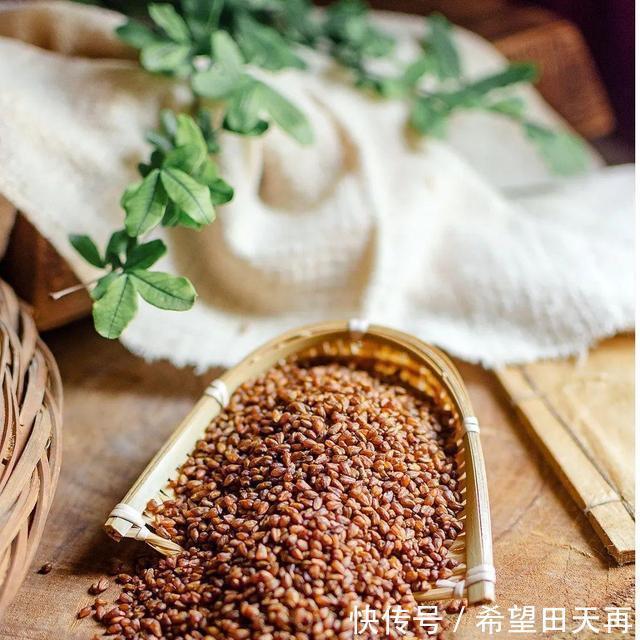 苦荞|特色小吃｜舌尖上的宁南——荞饼