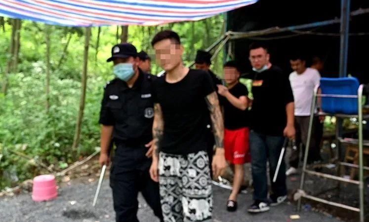 当场|躲进山林干这事无人机+100余名民警出动当场抓获42人