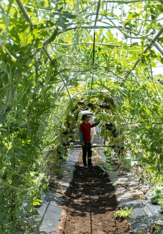 很爽|日本夫妻晒出朴素别墅,吸引30万粉丝,看上去简陋,住着却很爽