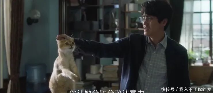 婚姻|艾小羊:《三十而已》钟晓芹离婚后的甜宠剧,真看不下去……