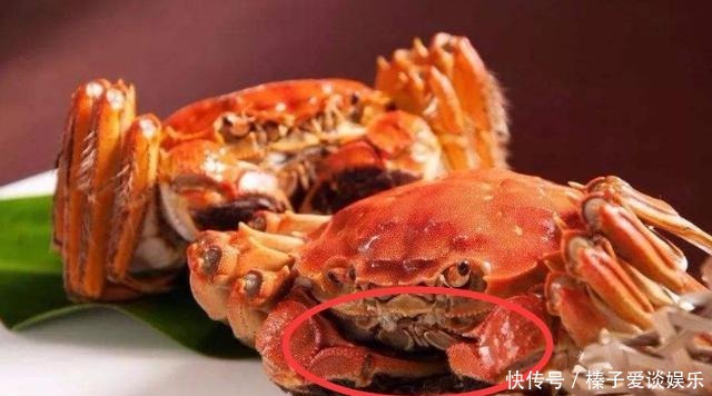 知识点|知识点!螃蟹有5个地方不能吃,很多人不懂,吃了就会闹肚子
