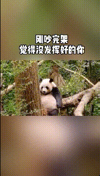 怀疑|“你们身边有舔狗舔到最后应有尽有的例子吗？”我怀疑你是在要攻略！哈