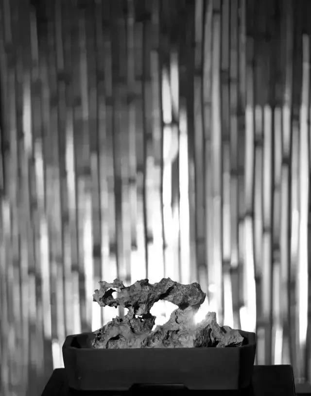 手稿|经典回顾 | 石开提名当代篆刻二十家手稿