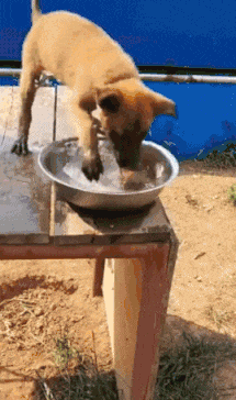 喜欢|搞笑GIF趣图:舍友最喜欢这样躺着玩手机,你们知道为什么吗?