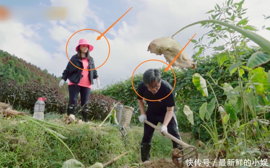 太精彩|王岳伦干农活李湘站旁边看,张萌称自己不会这样,李湘表情太精彩