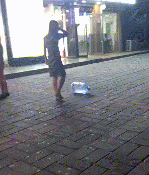  队友|搞笑GIF：上面的猫咪怎么成精了？竟然会逗队友？