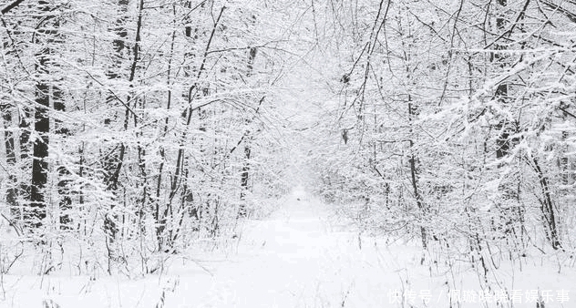 有没有|心理测试: 你最喜欢哪一幅雪景图? 测现在有没有人爱着你, 准