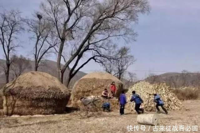 年龄|80后老了吗？尴尬的年代，无法沟通的年龄,80后＂终于＂还是老了