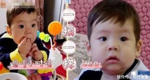 拍摄者|“嗯哼妹妹”登热搜榜首,网友纷纷指责拍摄者曝光霍思燕女儿正脸