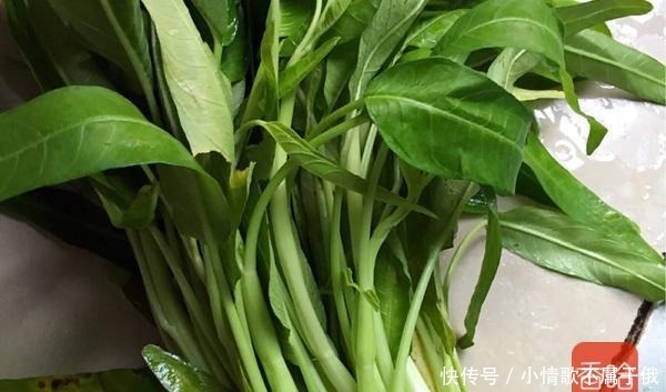 卖出|这食材在美国卖出高价，在国内却随处可见，口感嫩，营养高