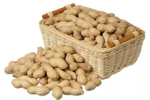 胆固醇|花生又叫长寿果,到底好处在哪里你知道吗