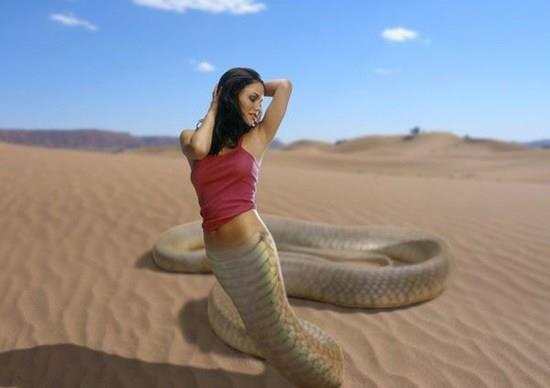 真相|“花瓶女孩”“人头蛇身”,这么多年的骗局,你知道真相吗